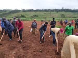 Rwamagana: Abahinzi bakanguriwe guhinga kare mu gihembwe 2022B