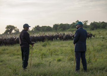 Perezida Kagame yagabiye umuhungu wa Museveni inka z’Inyambo
