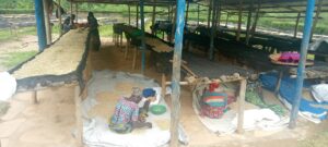 Nyabihu: Abafatanyabikorwa basabwe “kureba kure”