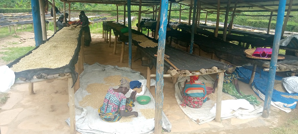 Nyabihu: Abafatanyabikorwa basabwe “kureba kure”