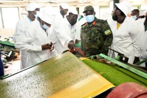 Minisitiri Gatabazi yashimye uruganda rw’icyayi rwa Rubaya