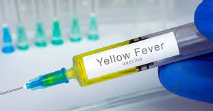 Fièvre Jaune mu Karere, u Rwanda ruryamiye amajanja