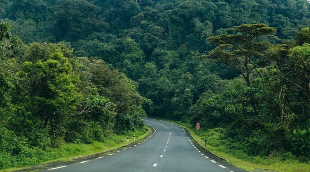 U Rwanda ruzirikana ko amashyamba arinda, agatanga ubuzima