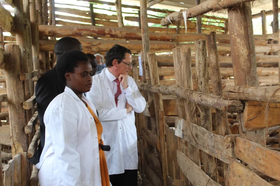 Ambasaderi w’u Bubiligi mu Rwanda yashimye uruhare rw’ishuri ryo mu kiraro