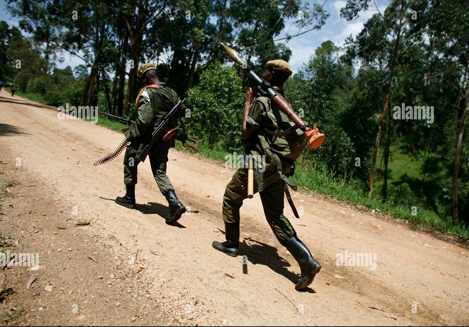 RDF: Ibisasu byaguye mu Majyaruguru y’u Rwanda ni ibya FARDC