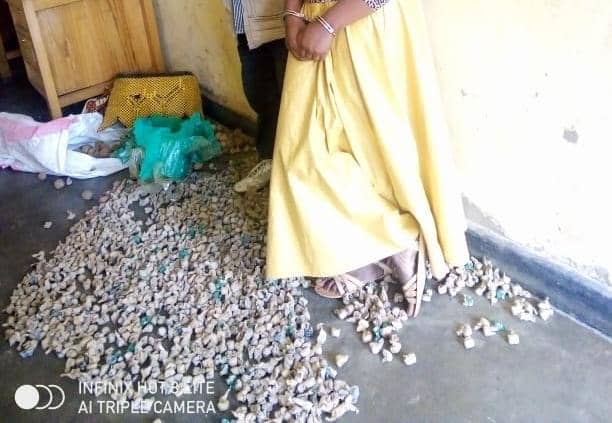Nyabihu: Bafatiwe muri bisi bafite udupfunyika 2000 tw’urumogi