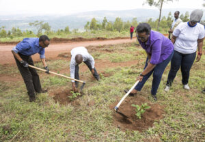 Uko u Rwanda rushyize imbere amashyamba mu guhangana n’imihindagurikire y’ikirere 