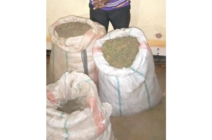 Kirehe: Yafatanywe imifuka itatu irimo ibilo 42 by’urumogi yatabye mu murima