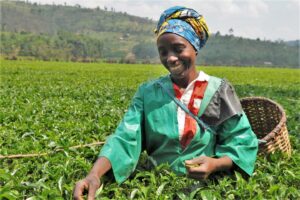 Ubukungu bw’u Rwanda bwazamutse ku gipimo cya 7.9%