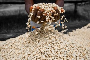 U Rwanda rwohereje hanze ibikomoka ku buhinzi by’asaga Miliyari 2
