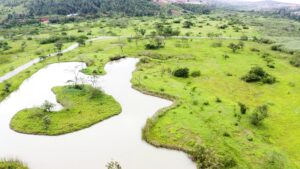 Inyungu u Rwanda rubona mu kubungabunga urusobe rw’ibinyabuzima