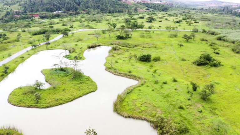 Inyungu u Rwanda rubona mu kubungabunga urusobe rw’ibinyabuzima