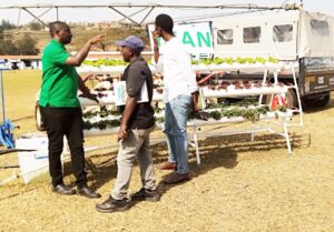 Urubyiruko rwatangiye guteza  imbere ubuhinzi rudakoresheje ubutaka
