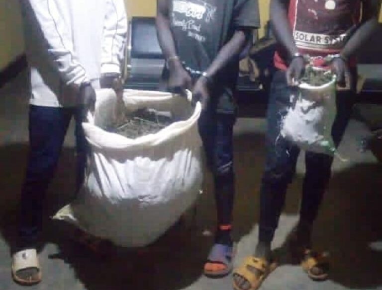 Kayonza: Bakodesheje inzu bayigira ububiko bw’urumogi