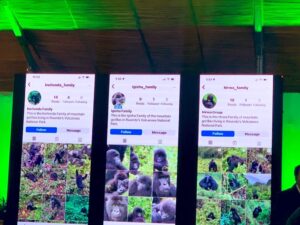 Imiryango y’ingagi zo mu Rwanda yafunguriwe konti kuri Instagram