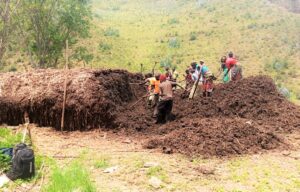 Gicumbi: Barigishwa gukora ifumbire y’imborera bifashishije iminyorogoto