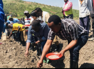 Kamonyi: Bakanguriwe kwita ku buhinzi bahinga ubutaka bwose