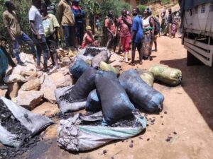 Nyamasheke: Bafatanywe ibilo 247 by’urumogi barengejeho amakara