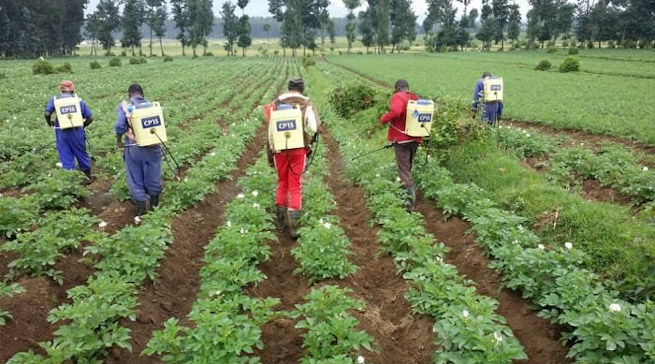 Abahuje ubutaka mu Rwanda barafashwa guhangana n’amapfa