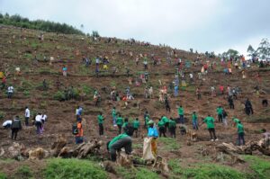 Baravuga imyato Green Gicumbi yabakuye mu kurembeka