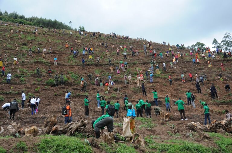 Baravuga imyato Green Gicumbi yabakuye mu kurembeka