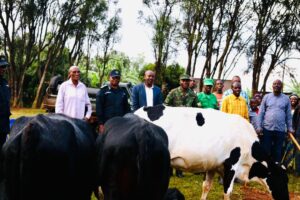 Impundu ni nyinshi mu bo Polisi y’u Rwanda yagabiye inka