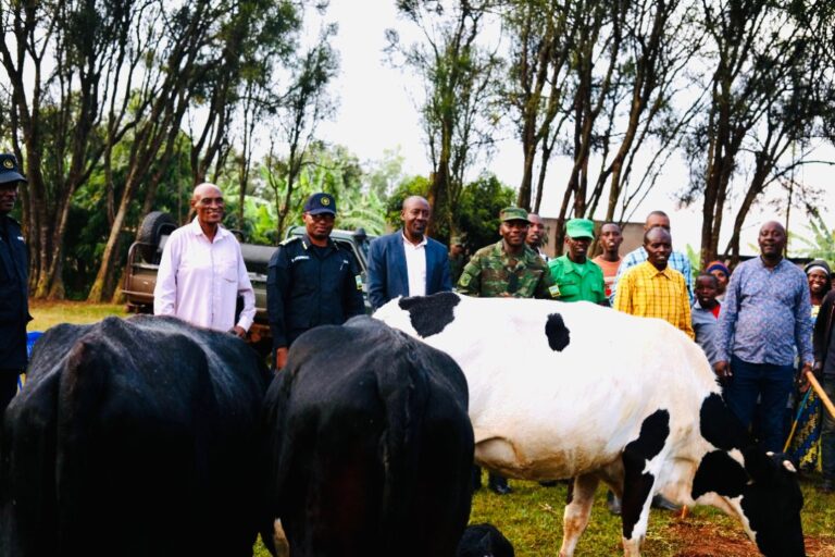 Impundu ni nyinshi mu bo Polisi y’u Rwanda yagabiye inka
