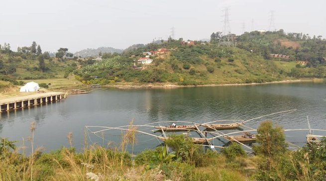 Impamvu zishobora kugabanya umusaruro w’uburobyi mu Rwanda