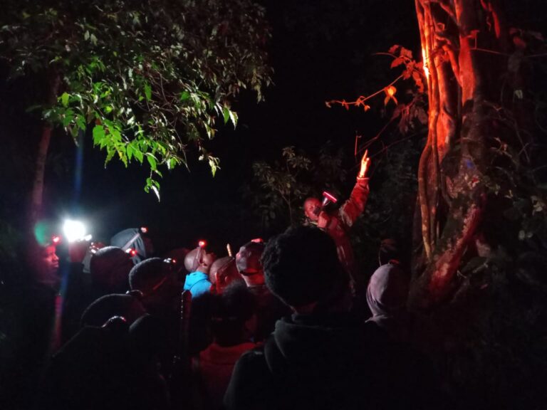 Gutembera Nyungwe nijoro, ubukerarugendo bushya mu Rwanda