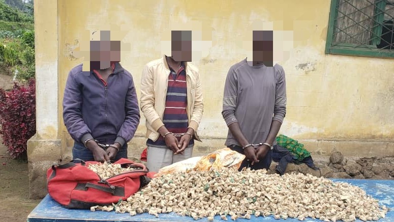 Nyabihu:  Yategeye udupfunyika turenga 4,100 tw’urumogi afatwa yinywera inzoga