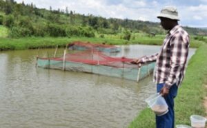 Kigali: Yagurishije ibyo atunze byose miliyoni 400 Frw yorora amafi
