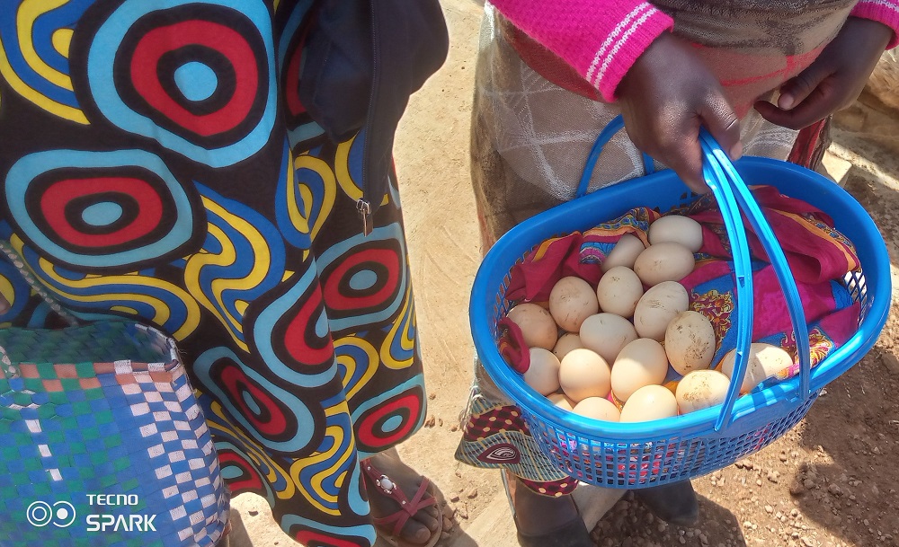 Gicumbi: Igi ku mwana ryatangiye gukemura igwingira mu bana