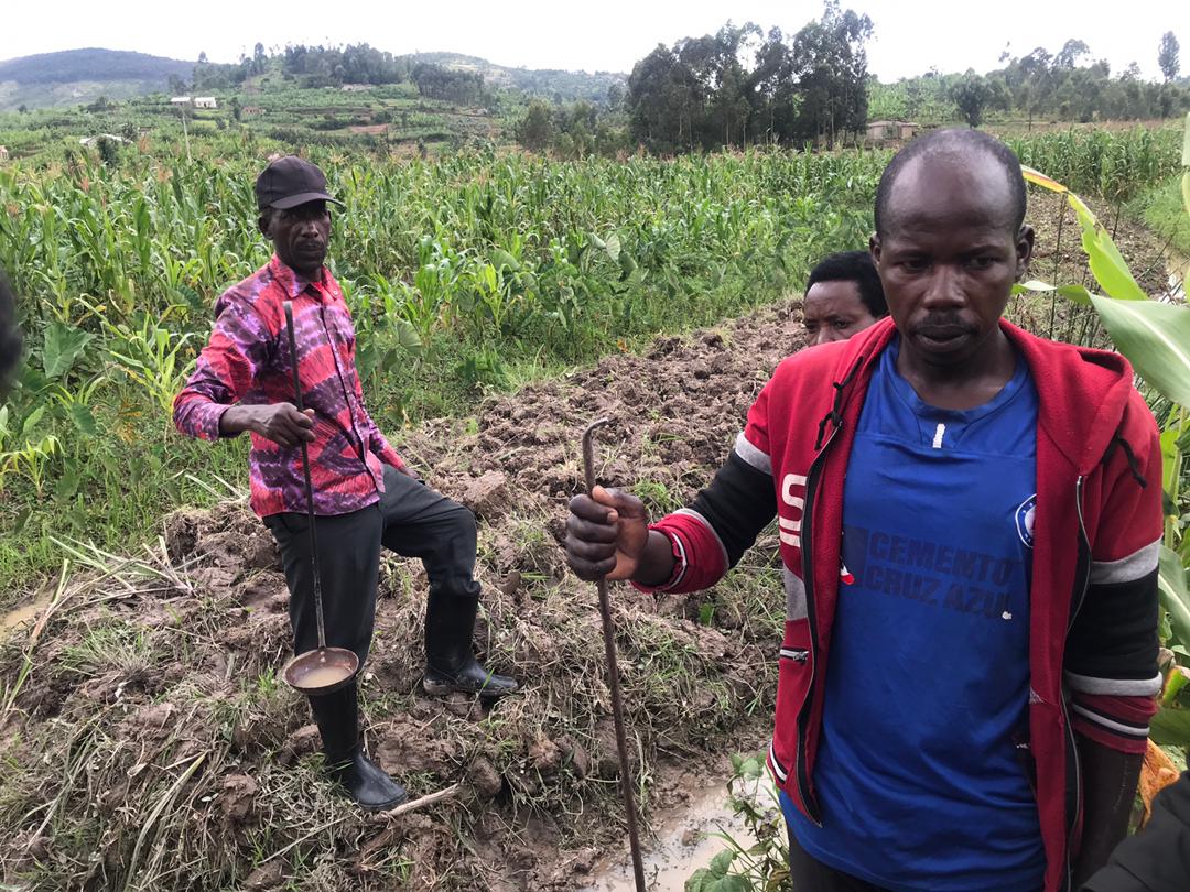 Ubwitange bw’abaroba imibu mu guhashya Malariya mu Rwanda