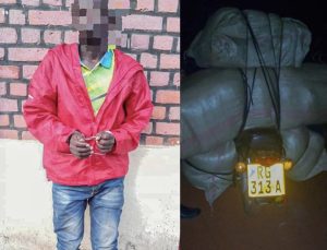 Gicumbi: Yafatanywe amasashe 28,000