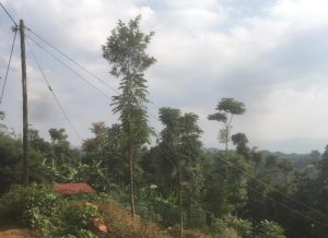 Rusizi: Kurandura no gusimbuza imiyoboro y’amashanyarazi itujuje ubuziranenge birakomeje