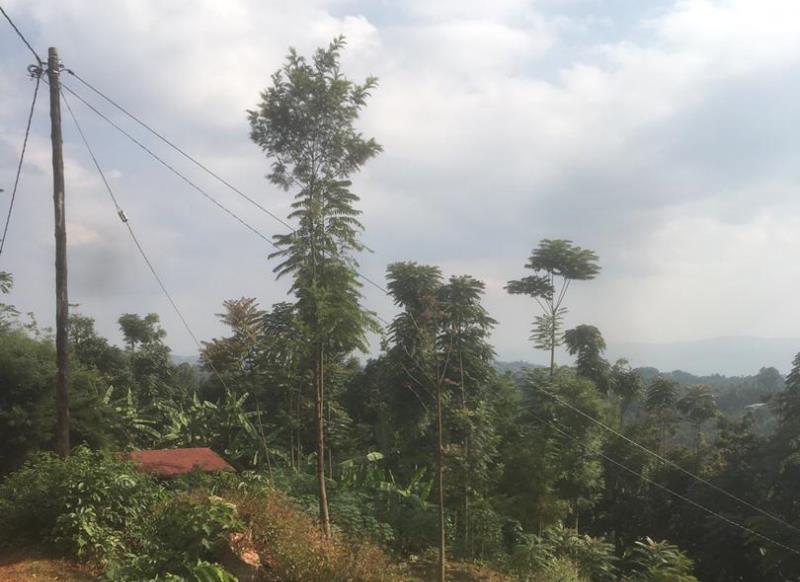 Rusizi: Kurandura no gusimbuza imiyoboro y’amashanyarazi itujuje ubuziranenge birakomeje