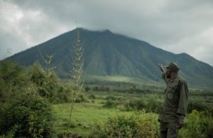 Abahagarariye ibihugu 93 barahurira mu Rwanda biga ku rusobe rw’ibinyabuzima