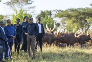 Perezida Kagame yagabiye Sassou Nguesso inka z’inyambo