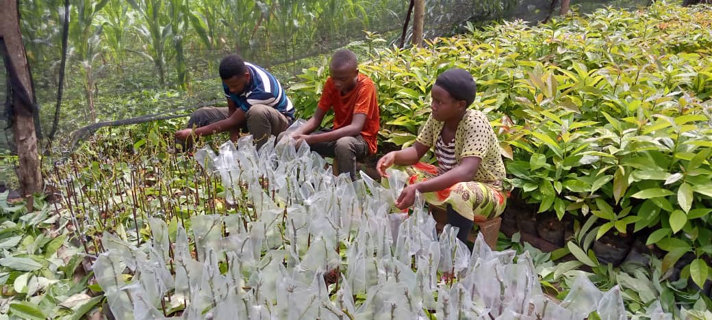 Kayonza: Guhumbika imbuto byabakuye mu bushomeri