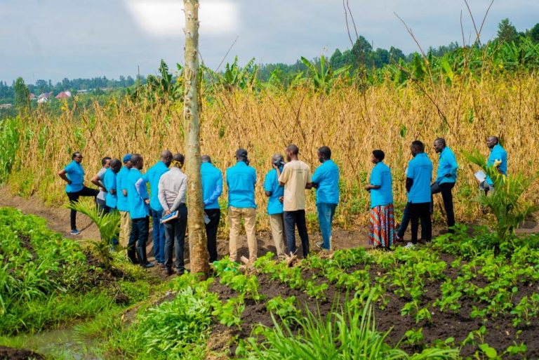 Hagiye kurebwa aho u Rwanda rugeze runoza uruhererekane rw’ibiribwa