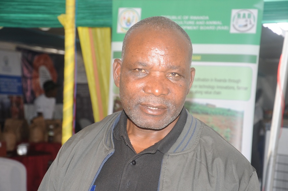 Ruhango: Matabaro yasobanuye uko igiti cy’umwumbati cyavaho ibilo bisaga 50