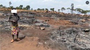 RDC: Inkambi ituwe n’imiryango 500 yahiye irakongoka