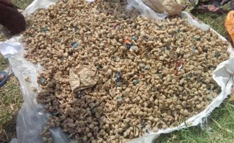 Kayonza: Yafatanywe urumogi arangura n’abarukura muri Tanzania
