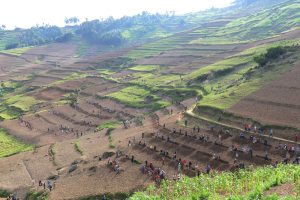 Mu Muganda usoza ukwezi kwa Kanama, hazakorwa imihanda n’ibiraro