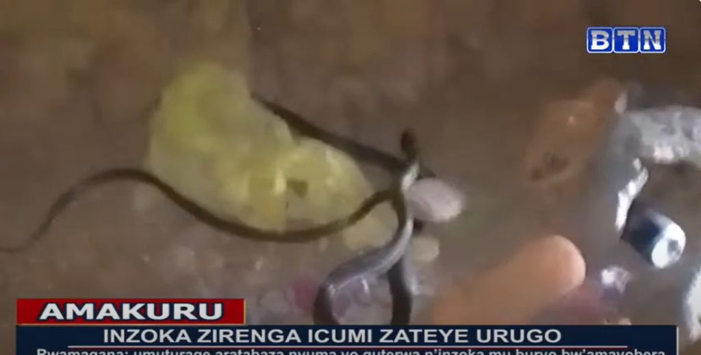 Rwamagana: Inzoka 10 zateye umuryango hakekwa kuzitererezwa
