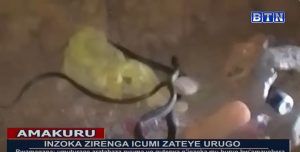 Rwamagana: Inzoka 10 zateye umuryango hakekwa kuzitererezwa