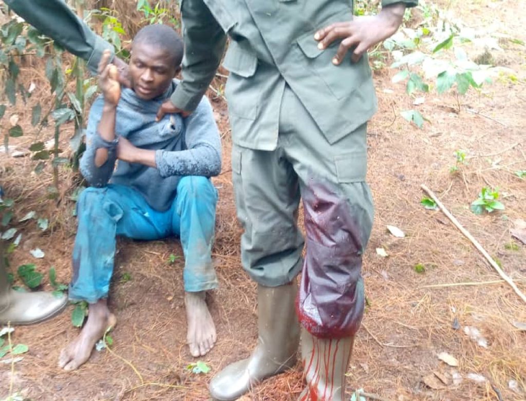 Nyamasheke: Bafungiye gutema umukozi wa Pariki y’Igihugu ya Nyungwe