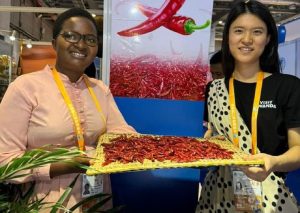 Abahinzi b’urusenda mu Rwanda babonye amahirwe muri EXPO mu Bushinwa