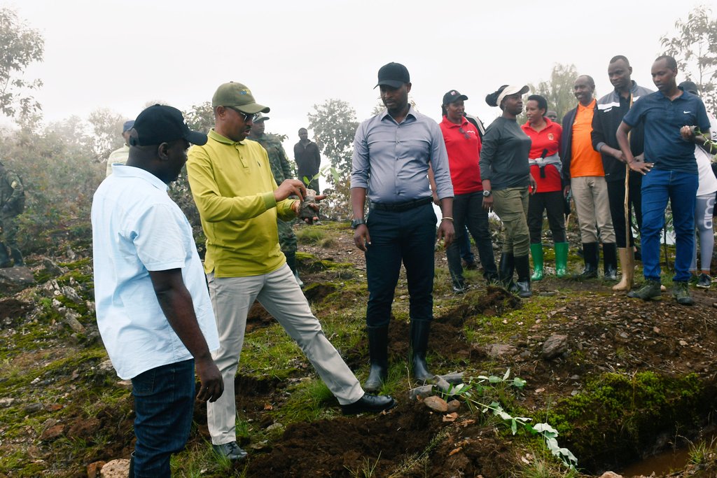 Musanze: Gashaki: Abasazuriwe amashyamba na Leta bizeye amasaziro meza