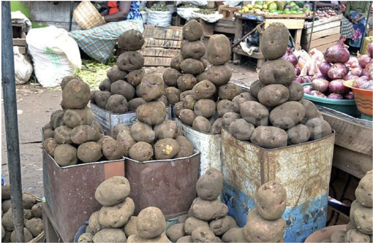 Kwihaza mu biribwa biracyari kuri 79,4%: Inama ihabwa Abanyarwanda